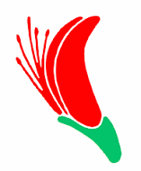 Waikoloa Village Logo