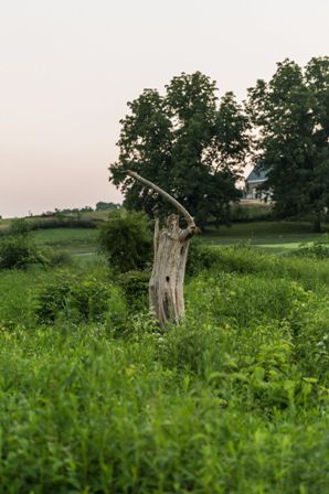 Chatman Hills Golf Course