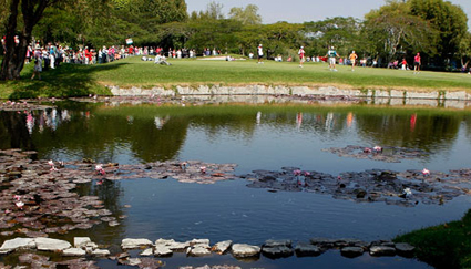 Lorena Ochoa invitational