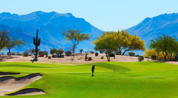 Desert Ridge Wildfire GC