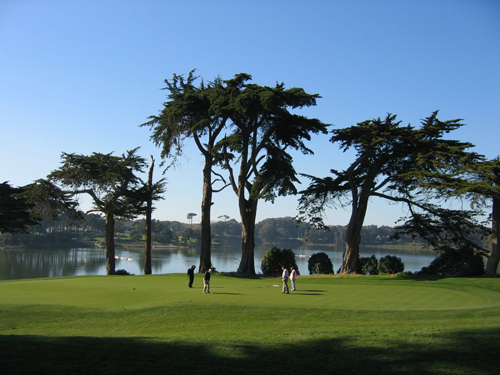 Harding Park SFO