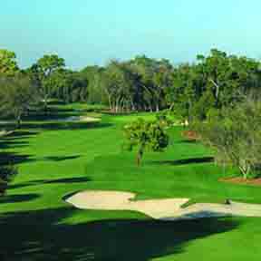 Innisbrook Resort & Golf Club