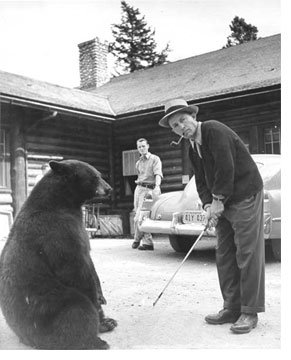 Straight Down The Middle