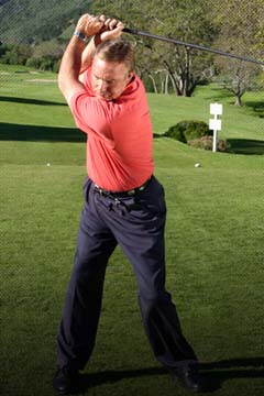 Roger Fredericks Posture System