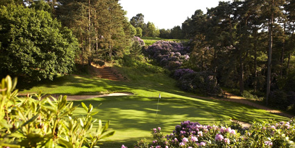 Woburn Golf Club