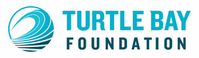 Turtle Foundation